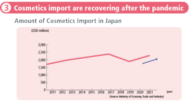 Cosmetics import are recovering after the pandemic